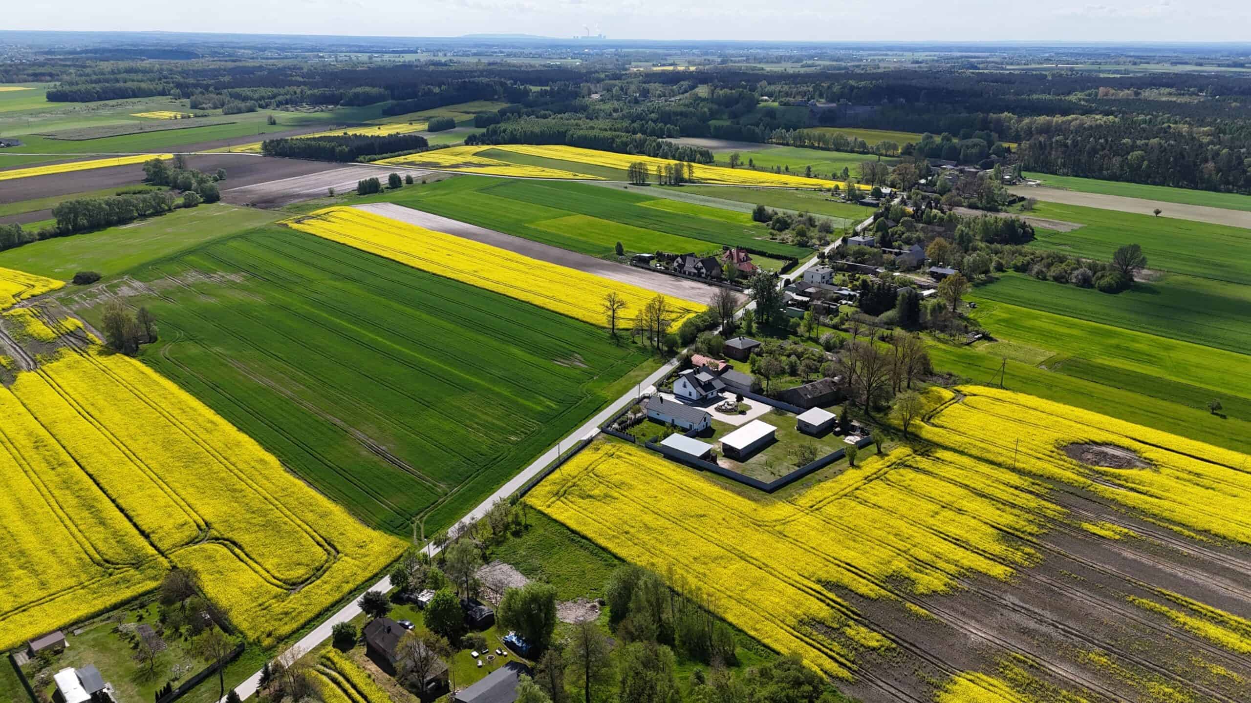 Szczegółowe ujęcie kolorowych pól i domów w malowniczej wsi.