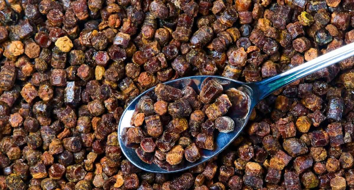 Zdjęcie ziarenek miodu wypełniających całą przestrzeń, na łyżeczce pełnej miodu.