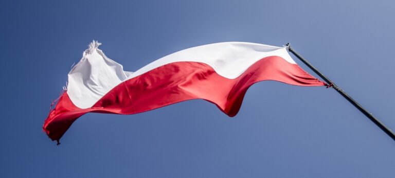 Polski miód – Złoty skarb Polskiej natury