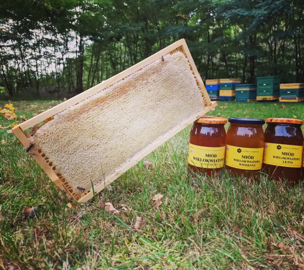 Alt: Miód wielokwiatowy w słoikach obok ramki z pszczelą plastrą na łące.
