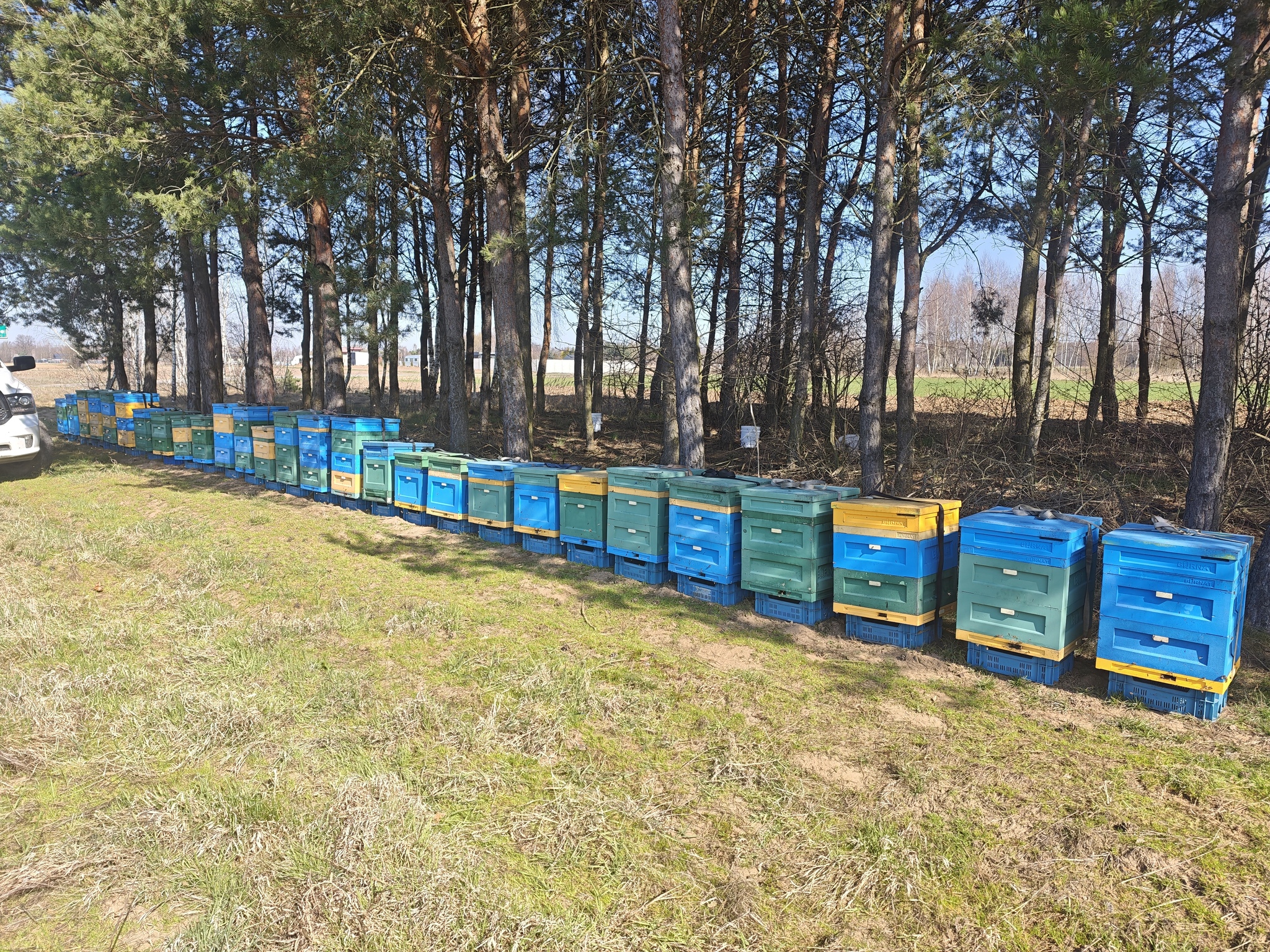 Ule Pasieki u Jędrusia