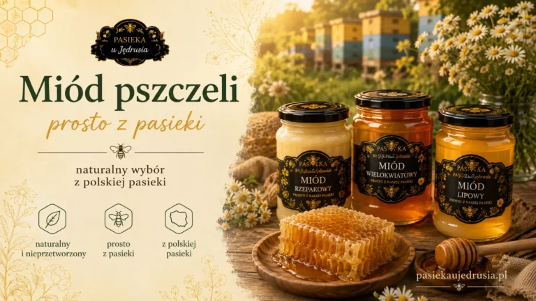 Miód pszczeli prosto z pasieki – kiedy warto wybrać lokalnego pszczelarza?