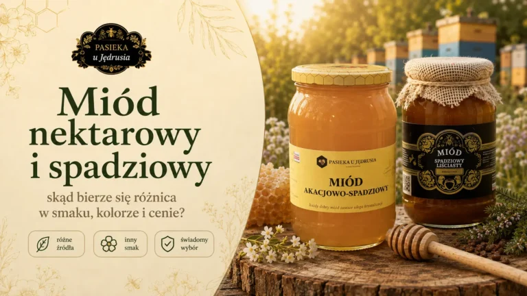 Miód nektarowy a spadziowy – skąd bierze się różnica w smaku, kolorze i cenie?