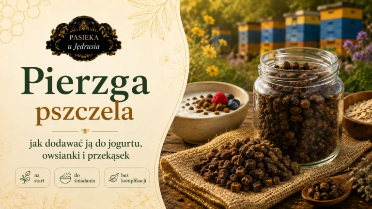 Pierzga – jak stosować ją w codziennym jedzeniu i jak zacząć bez kombinowania?