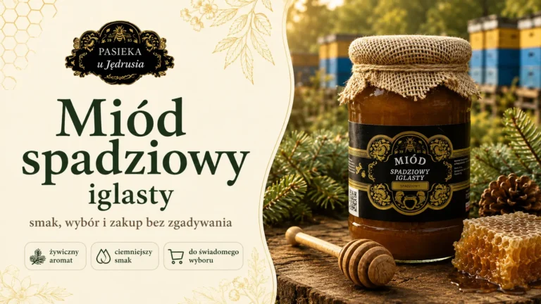 Miód spadziowy iglasty – smak, wybór i zakup bez zgadywania