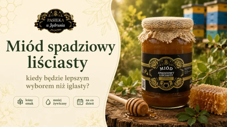 Miód spadziowy liściasty – kiedy będzie lepszym wyborem niż iglasty?