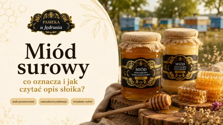 Miód surowy – co to znaczy i czym różni się od zwykłego miodu?