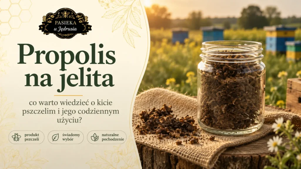 Propolis a jelita – dlaczego jest stosowany i co wiadomo o takim użyciu?