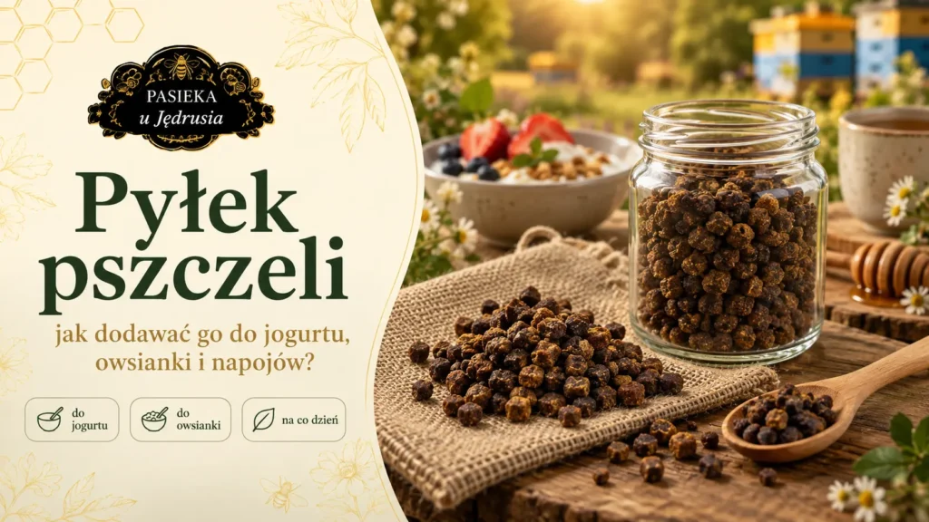 Pyłek pszczeli z Pasieki u Jędrusia w okładkowej grafice o codziennym stosowaniu w jogurcie, owsiance i przekąskach