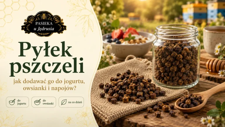 Jak stosować pyłek pszczeli – jak go przygotować i z czym jeść?