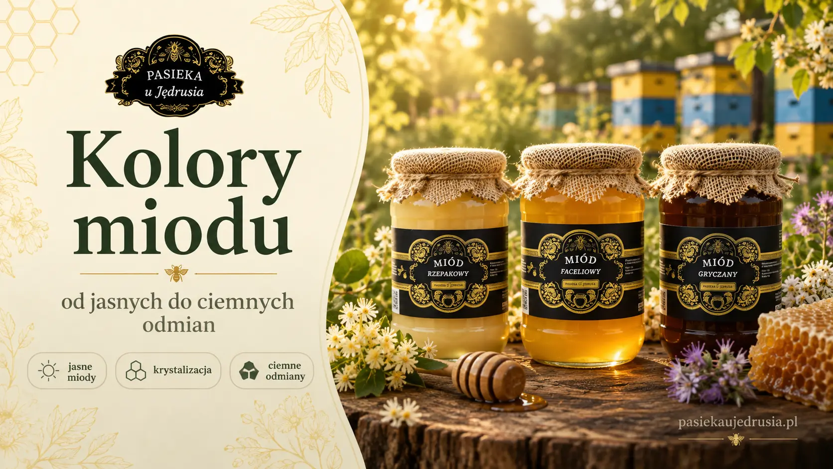 Rodzaje miodu i kolory – co naprawdę można wyczytać ze słoika?