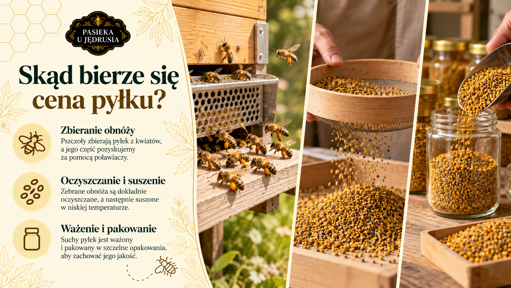 Pyłek pszczeli w różnych naturalnych odcieniach obok nieopisanych sylwetek kwiatów.
