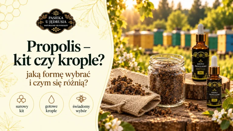 Propolis – jak stosować surowy kit, krople i inne formy?