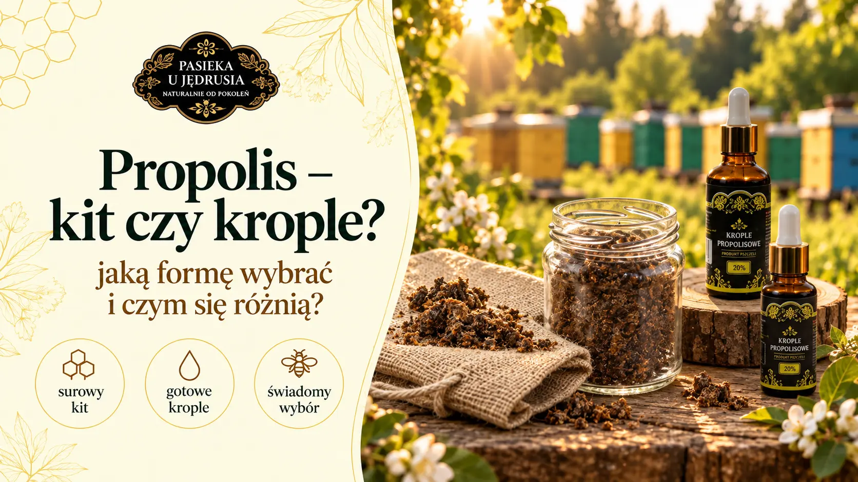 Propolis – jak stosować surowy kit, krople i inne formy?