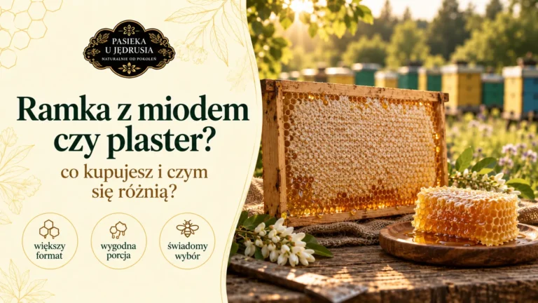 Ramka z miodem – czym różni się od plastra w słoiku i jak ją wykorzystać?
